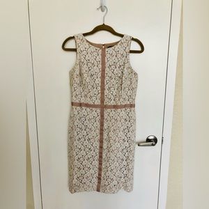 Ann Taylor Cream Lace Knee Length Sheath Dress